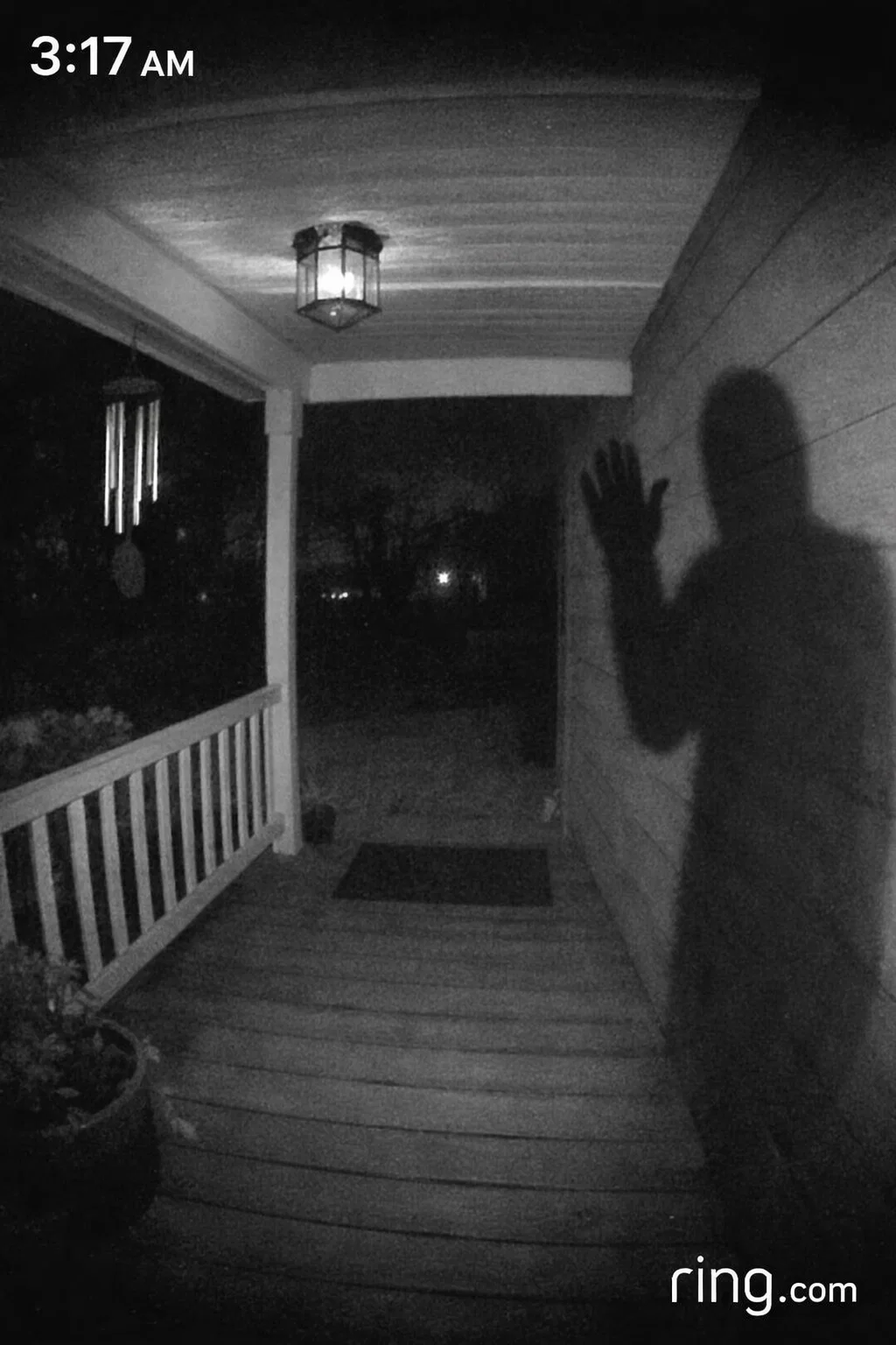 At 3:17 a.m., the Ring camera sent a motion alert
