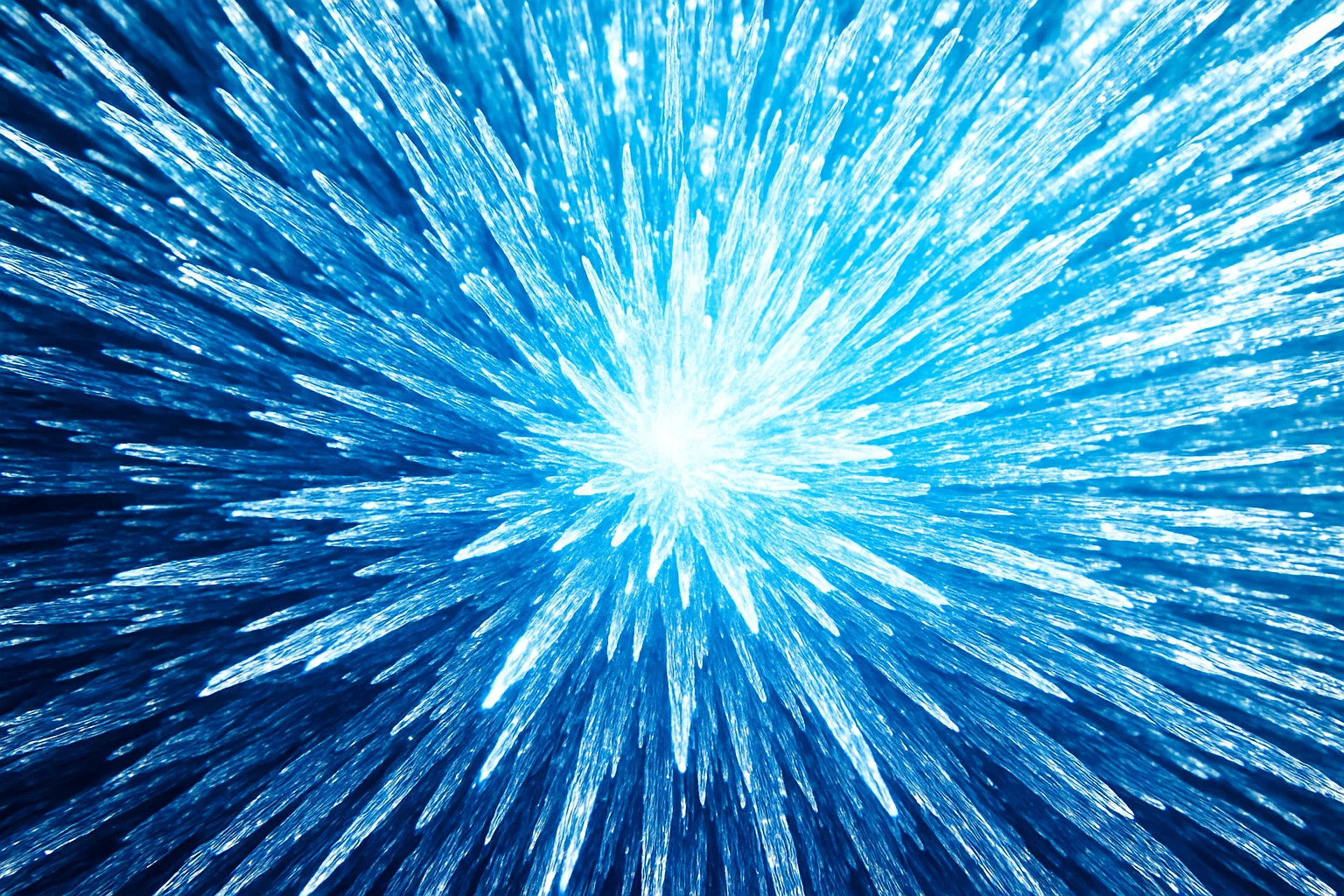 Vivid Microscopic Detail